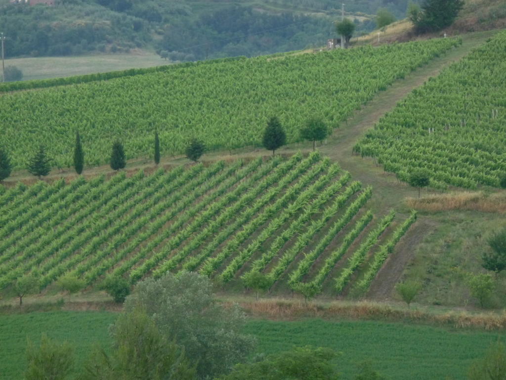 Azienda Agricola Ed Agrituristica Cafaggio Villa San Miniato Eksteriør bilde